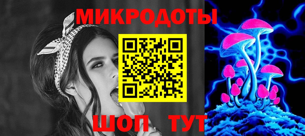Псилоцибиновые грибы Psilocybe Керчь