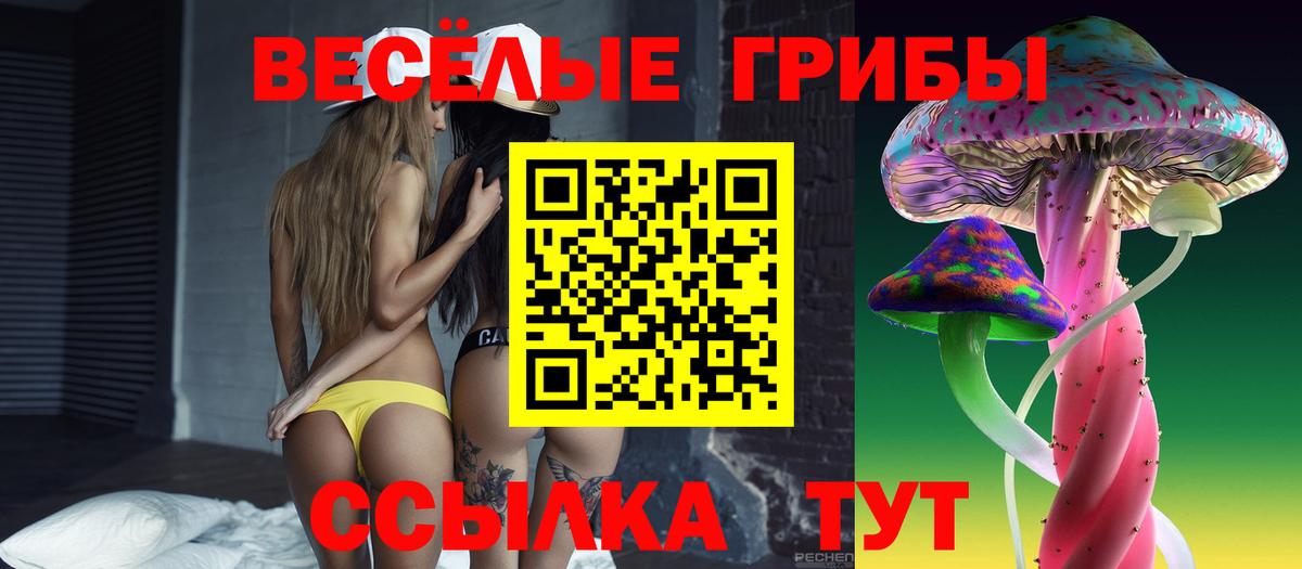Керчь  Галлюциногенные грибы Psilocybine cubensis  Вход с VPN  Псилоцибиновые грибы MAGIC MUSHROOMS 